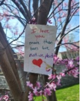 Image of greeting card in a tree