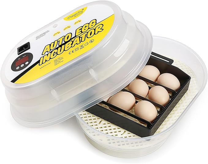 Egg incubator