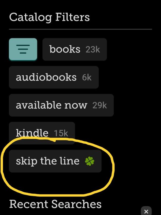 Screenshot of Skip the Line feature in Libby
