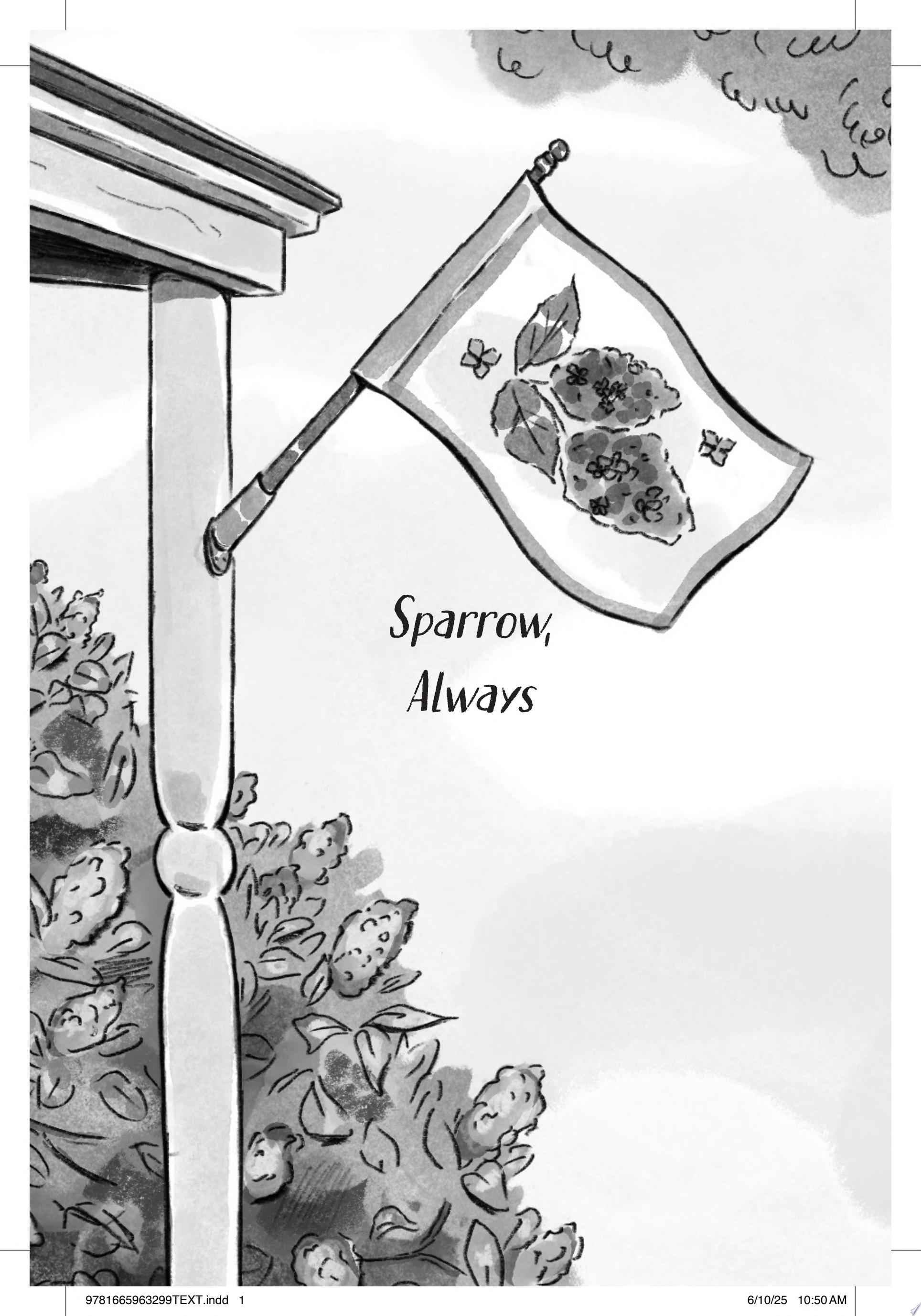 Image for "Sparrow, Always"