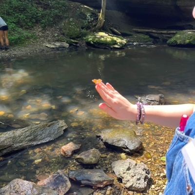 Image of butterfly on person's hand