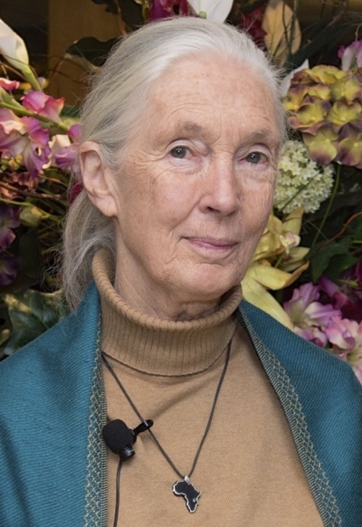 Image of Jane Goodall