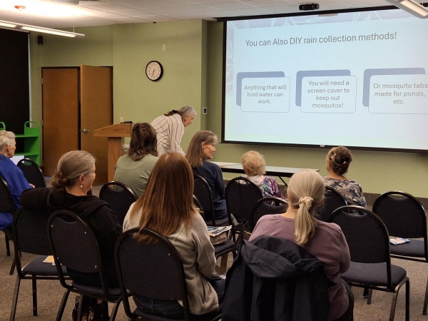 Self Sustaining series