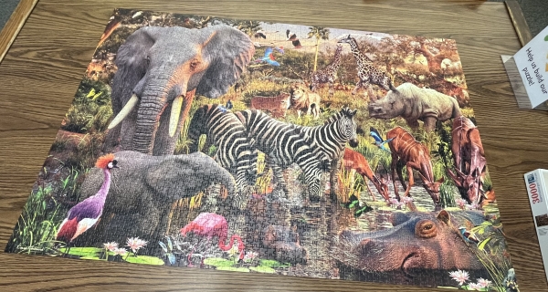 Summer Reading Puzzle