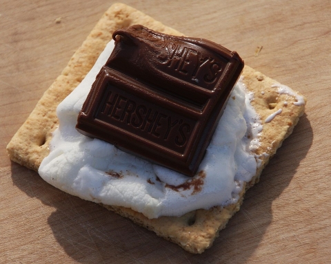 Image of chocolate and marshmallow on a graham cracker