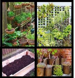 phot of four different container gardens