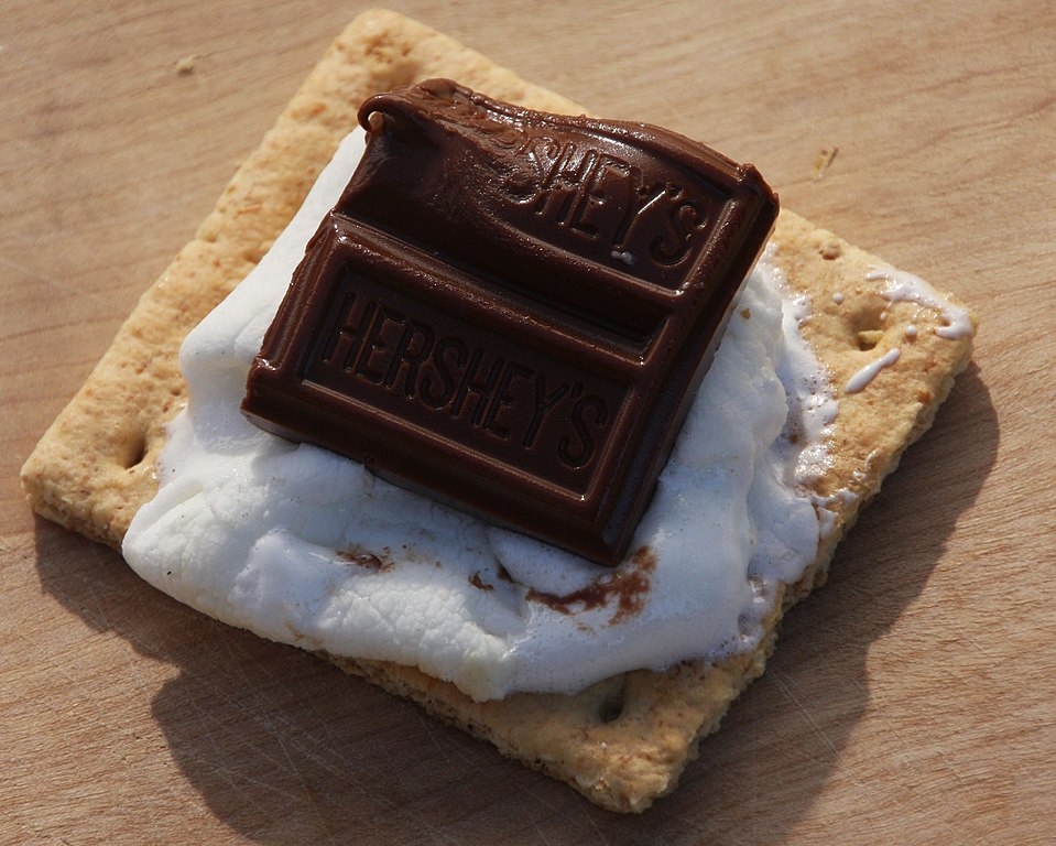 Image of chocolate and marshmallow on a graham cracker